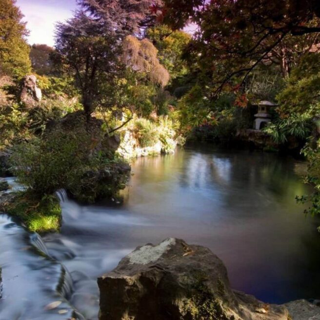 Serene garden pond with lush greenery at Hamlet Court Hotel.