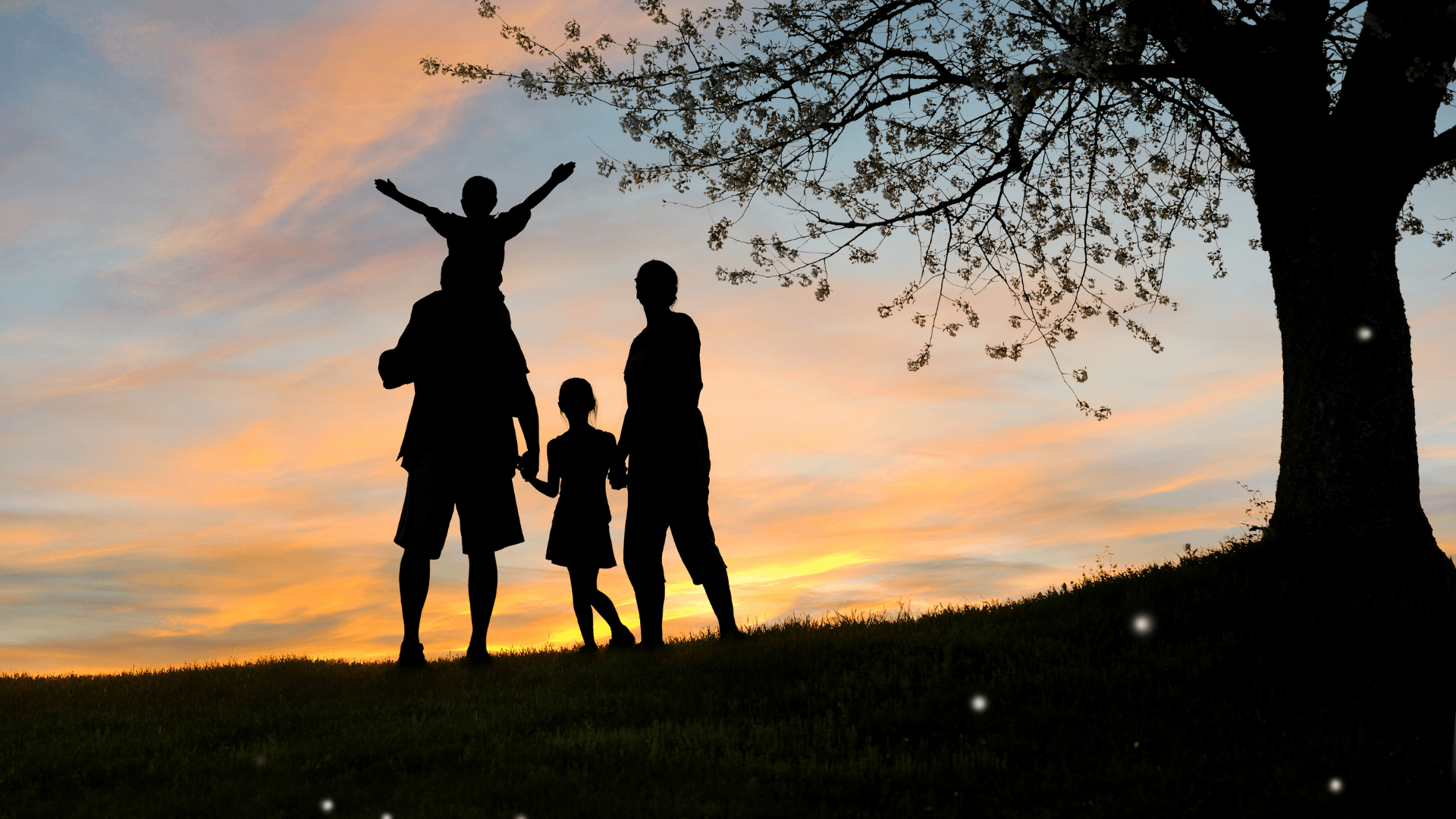 Featured image for the article: Summer Family Breaks