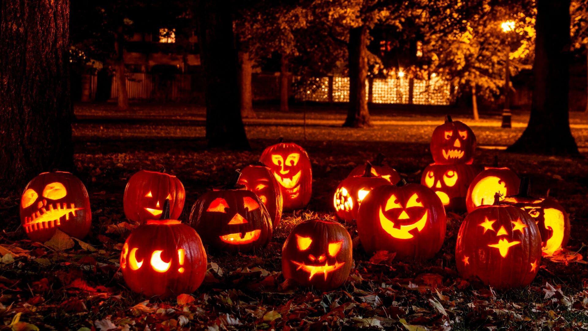 Warmly lit garden with glowing Halloween pumpkins at night.