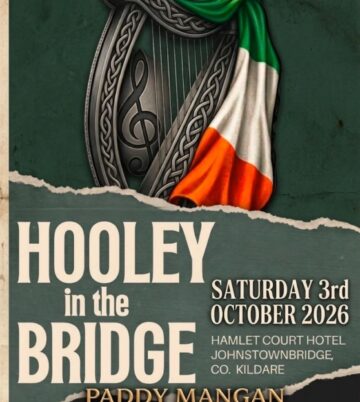 Irish music event poster at Hamlet Court Hotel, featuring a harp and Irish flag.
