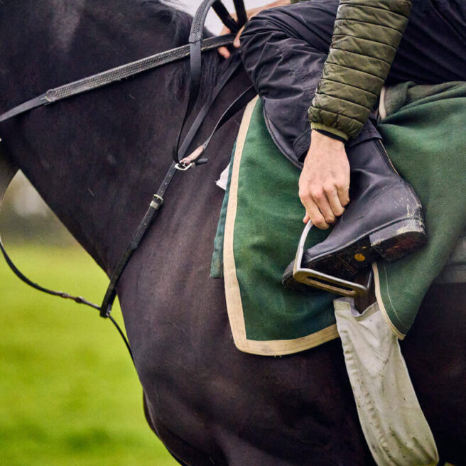 Person riding a horse in a green field, emphasising countryside charm and leisure.